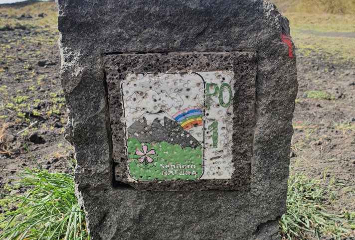 La Saponaria sur le logo du Parc de l'Etna
