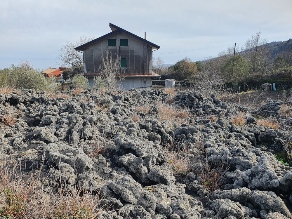 The 1993 lava flow stopped in front of the 2nd house